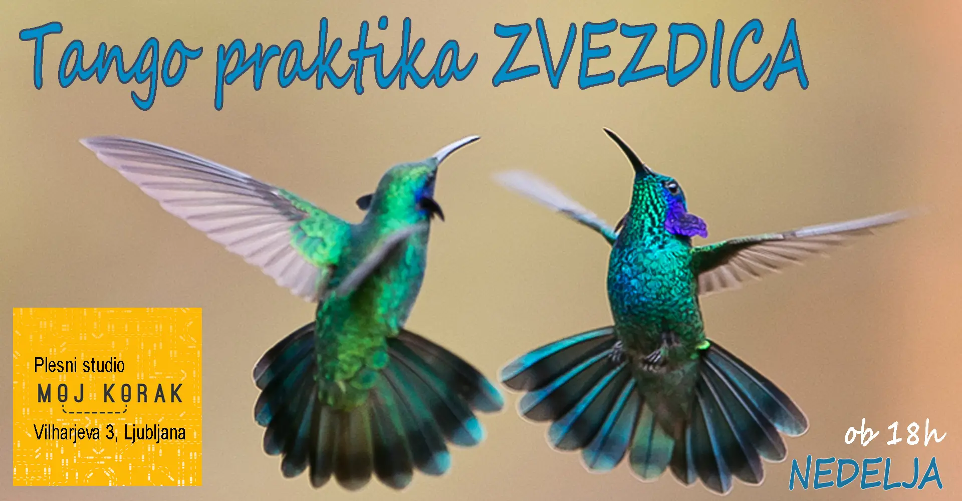 Read more about the article TANGO ZVEZDICA