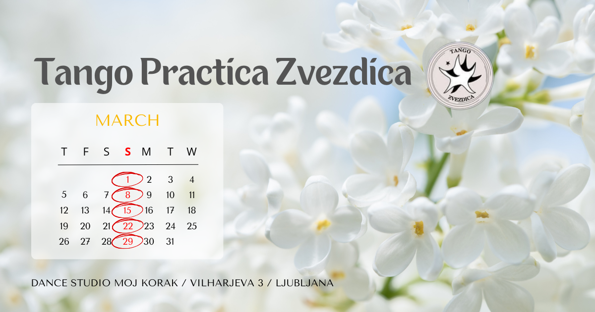 Read more about the article TANGO practica ZVEZDICA