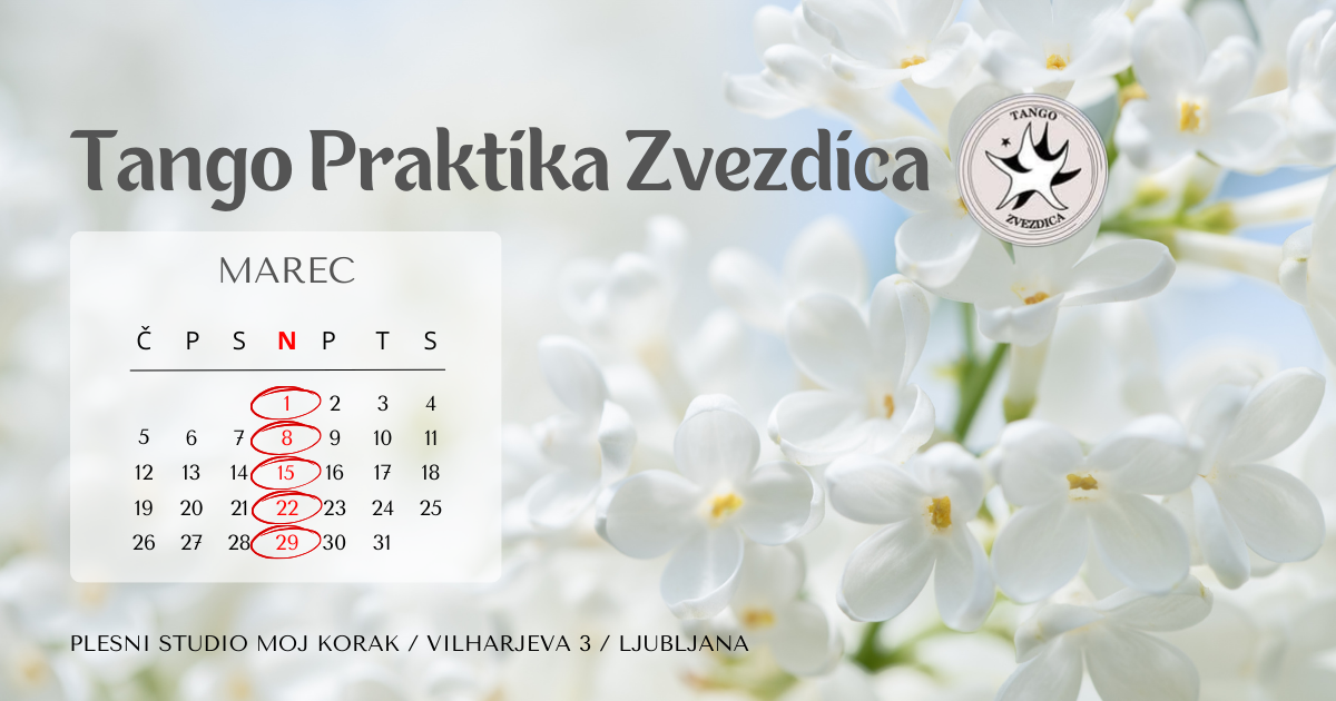 You are currently viewing TANGO praktika ZVEZDICA