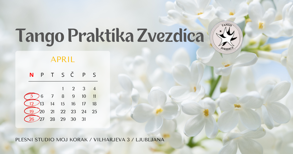 You are currently viewing Tango praktika ZVEZDICA