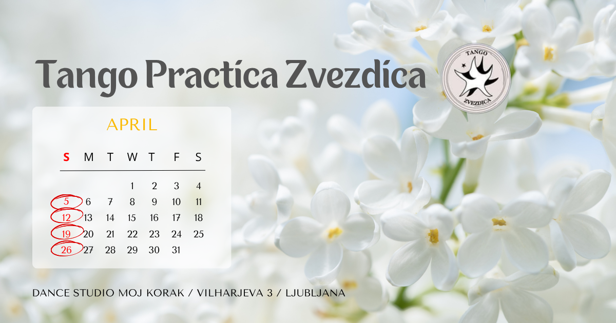 Read more about the article TANGO practica Zvezdica