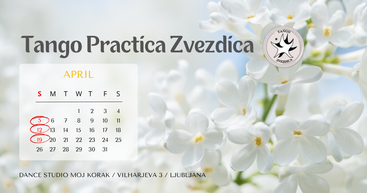 Read more about the article TANGO practica Zvezdica