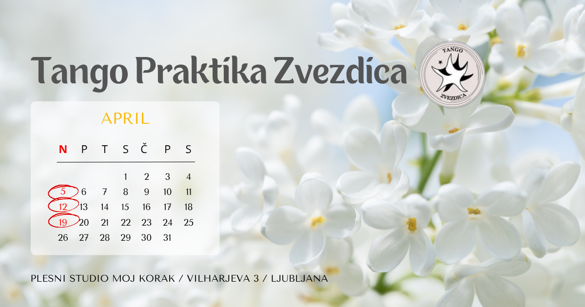 You are currently viewing TANGO praktika ZVEZDICA