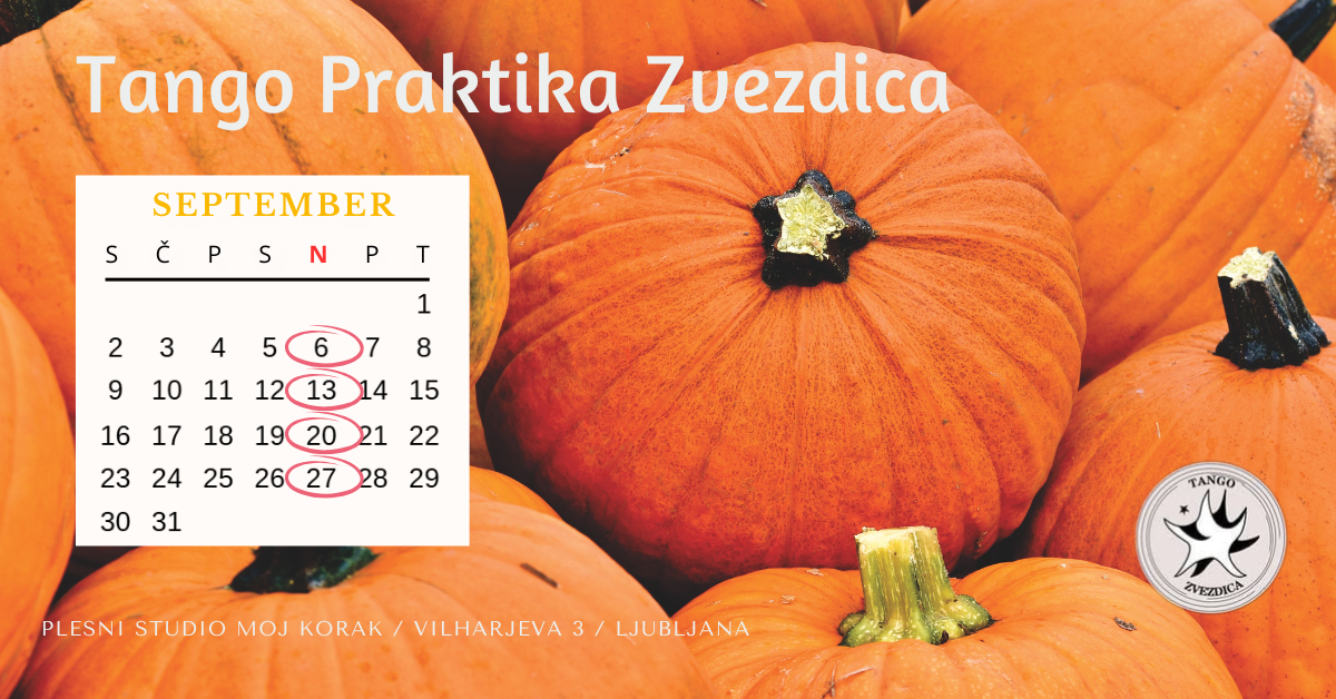 You are currently viewing TANGO praktika Zvezdica