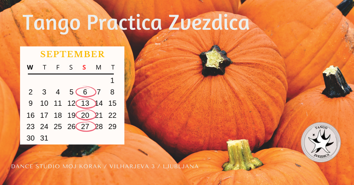 You are currently viewing TANGO practica Zvezdica